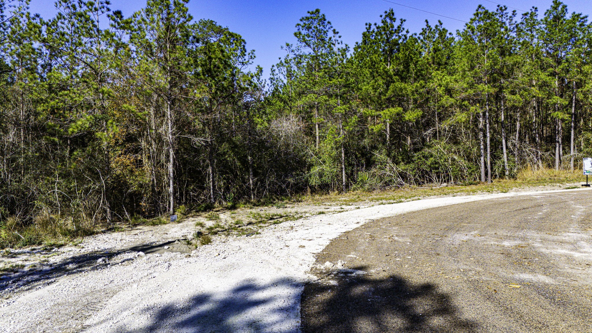29 Sportsman Retreat Road Onalaska, TX 77360 - Photo 7 of 17 a view of a yard with large trees