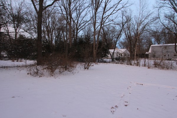 105 Whitmun Road Longmeadow, MA 01106 - Photo 5 of 19 Gallery Image 5