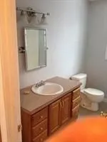 a bathroom with a sink and a toilet