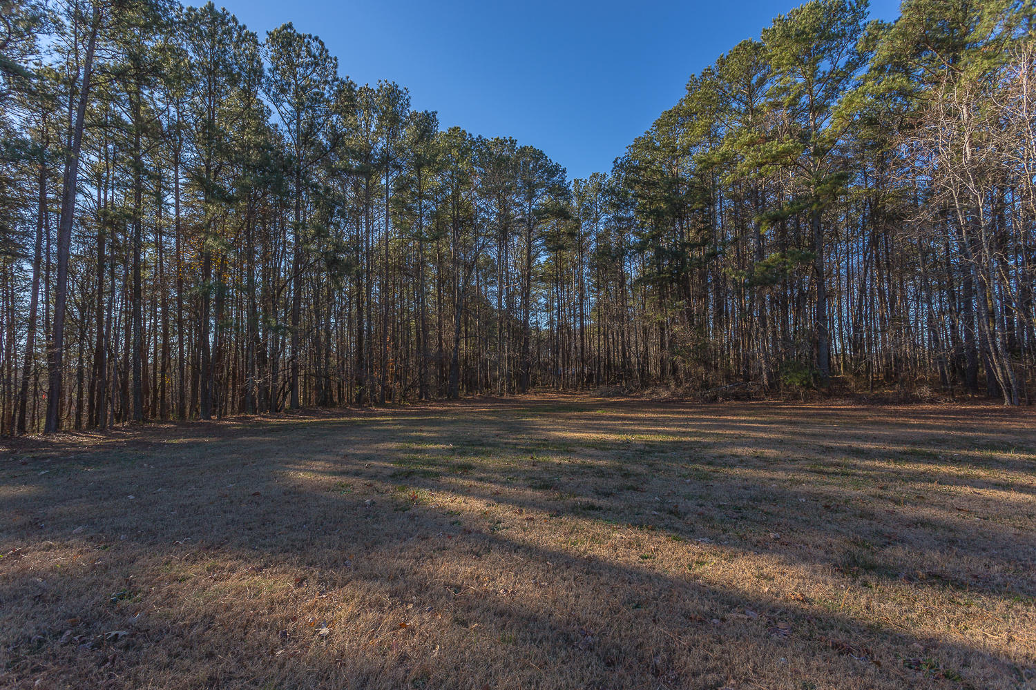1500 Round Pond Road LaFayette, GA 30728 - Photo 39 of 49 1500 Round Pond Road-18