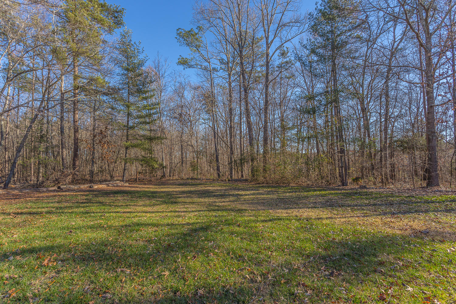 1500 Round Pond Road LaFayette, GA 30728 - Photo 8 of 49 1500 Round Pond Road-2