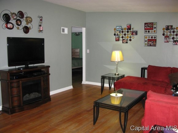 724 West Dorlan Avenue Springfield, IL 62702 - Photo 4 of 18