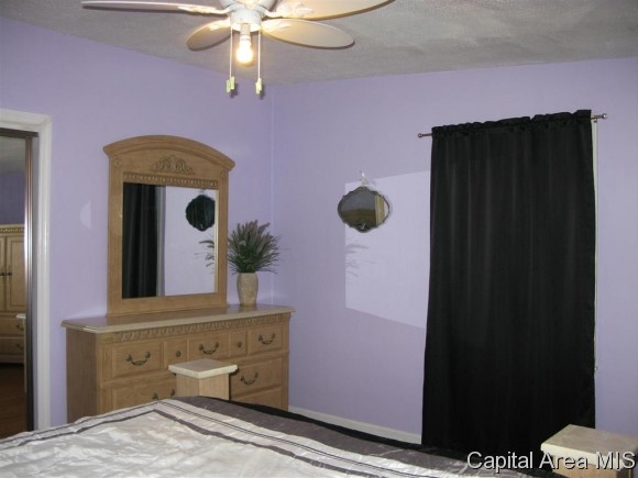 724 West Dorlan Avenue Springfield, IL 62702 - Photo 10 of 18