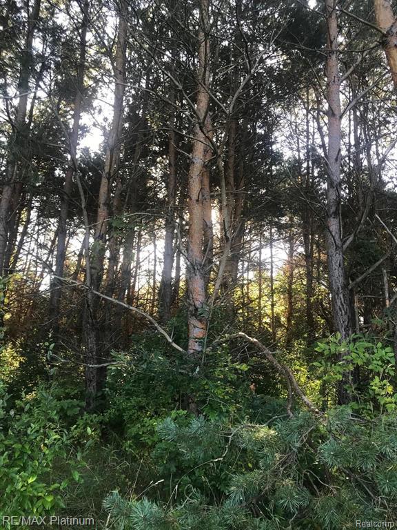 2 Hacker Brighton, MI 48114 - Photo 4 of 16