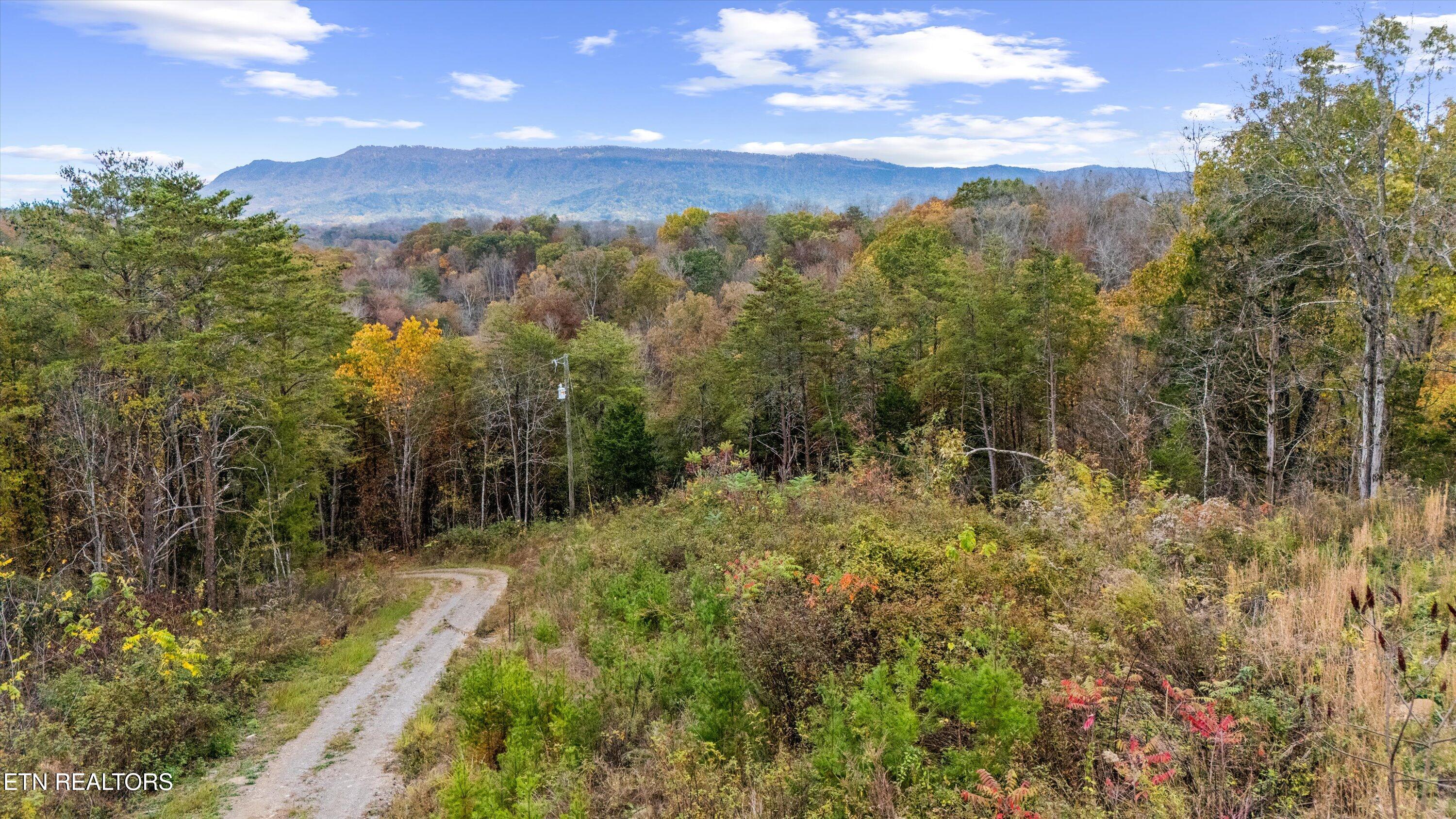 703 North Knob Creek Road Seymour, TN 37865 - Photo 12 of 18 37-703 N Knob Creek Rd08