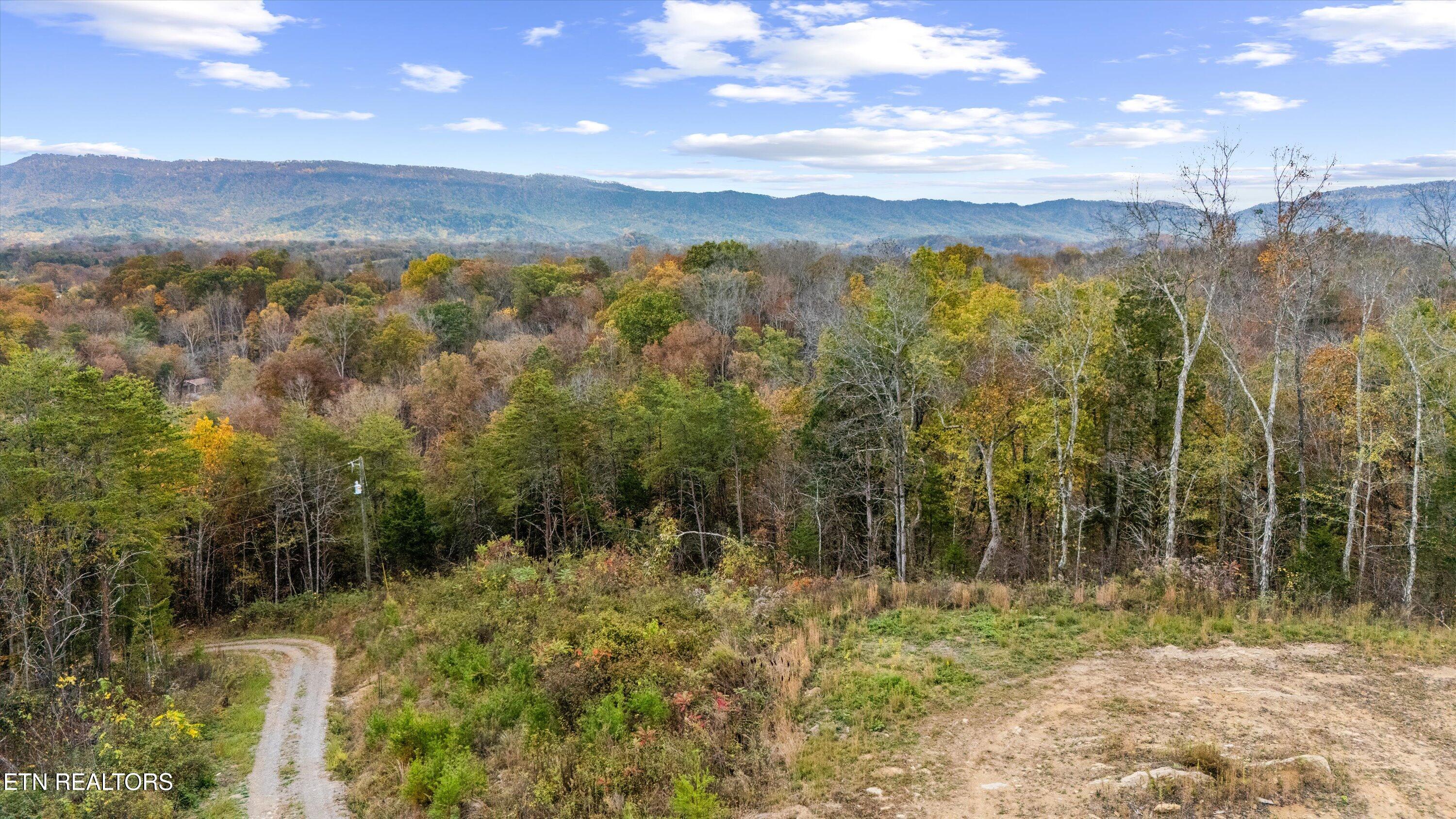 703 North Knob Creek Road Seymour, TN 37865 - Photo 13 of 18 38-703 N Knob Creek Rd09