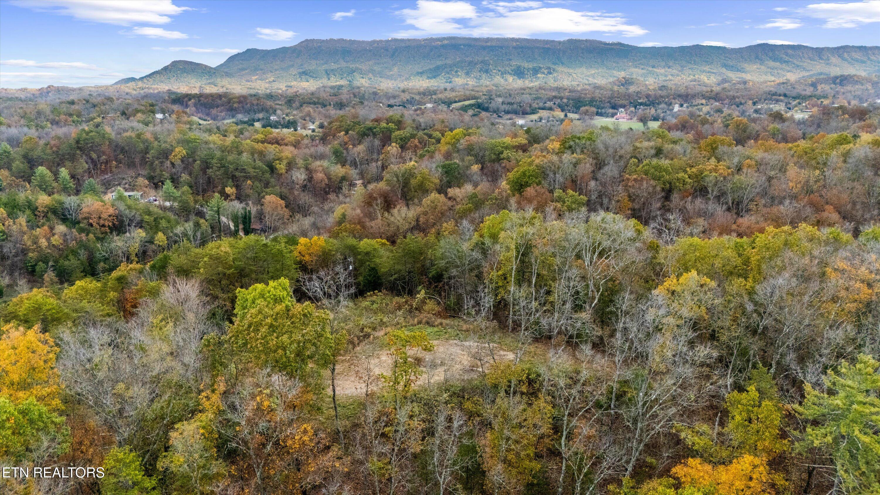 703 North Knob Creek Road Seymour, TN 37865 - Photo 14 of 18 39-703 N Knob Creek Rd10