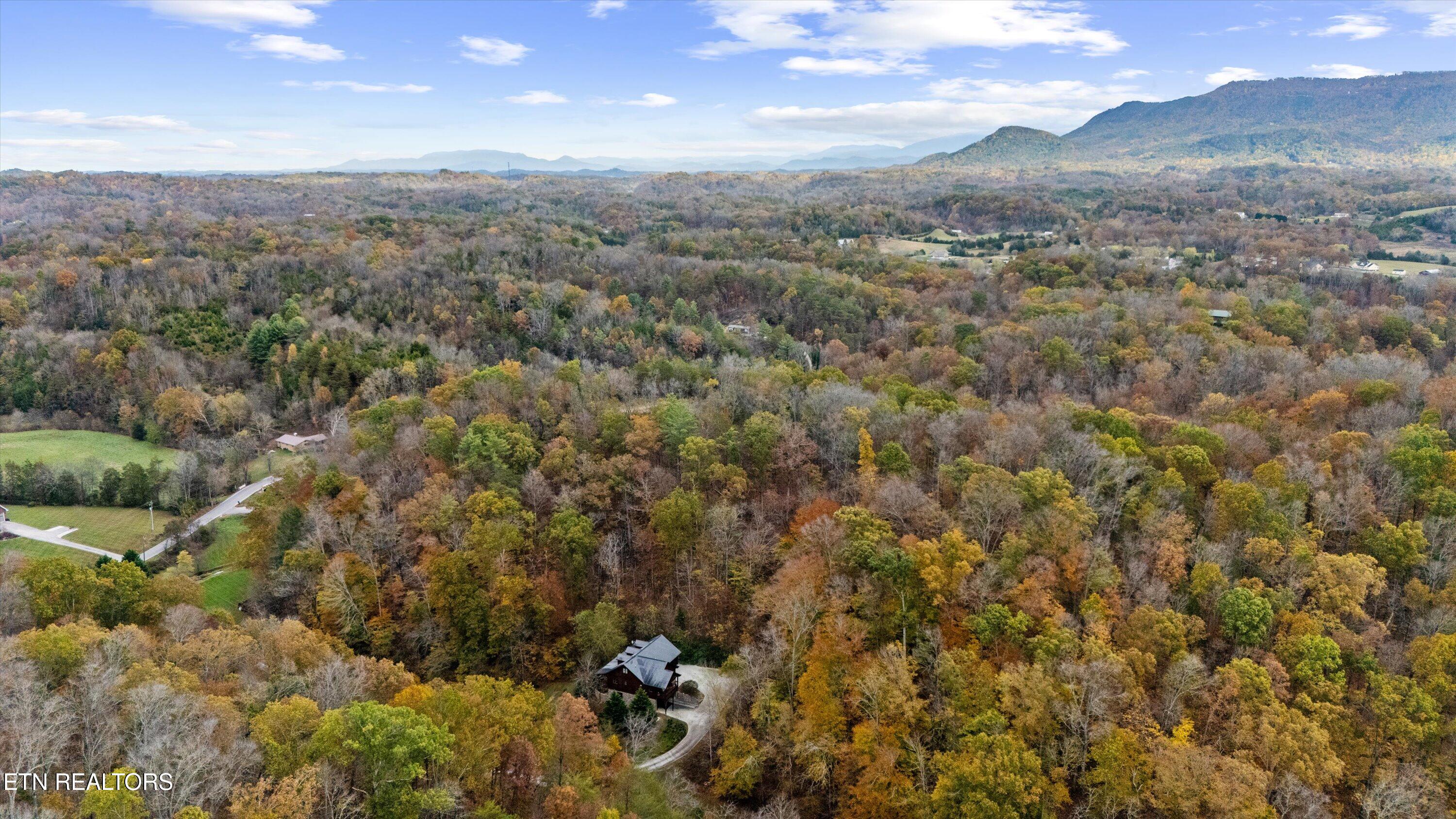 703 North Knob Creek Road Seymour, TN 37865 - Photo 16 of 18 40-703 N Knob Creek Rd11
