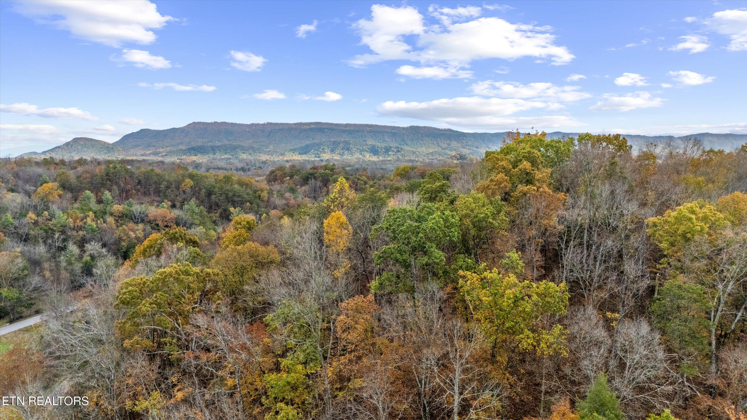 703 North Knob Creek Road Seymour, TN 37865 - Photo 17 of 18 41-703 N Knob Creek Rd12