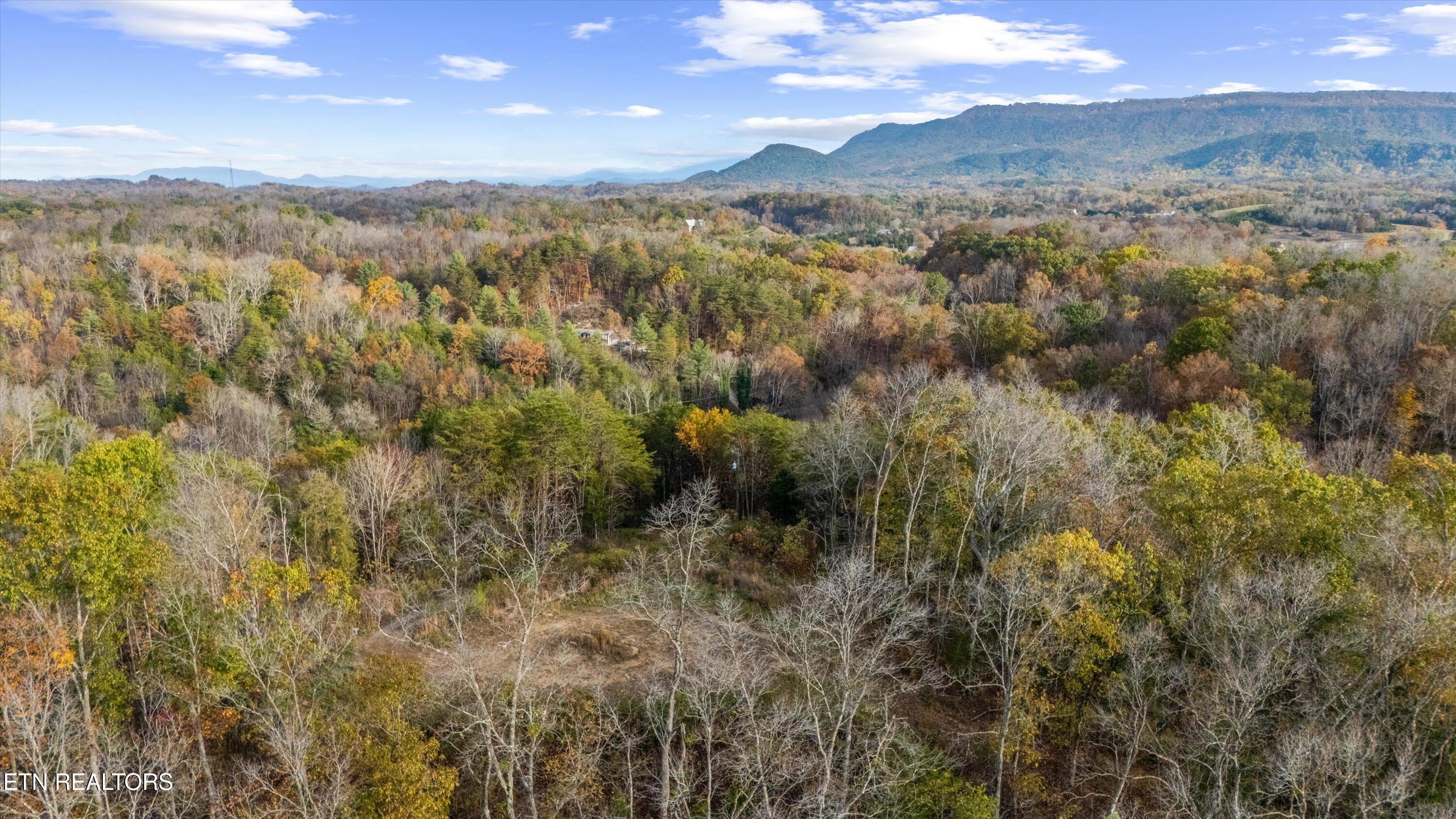703 North Knob Creek Road Seymour, TN 37865 - Photo 18 of 18 47-703 N Knob Creek Rd18