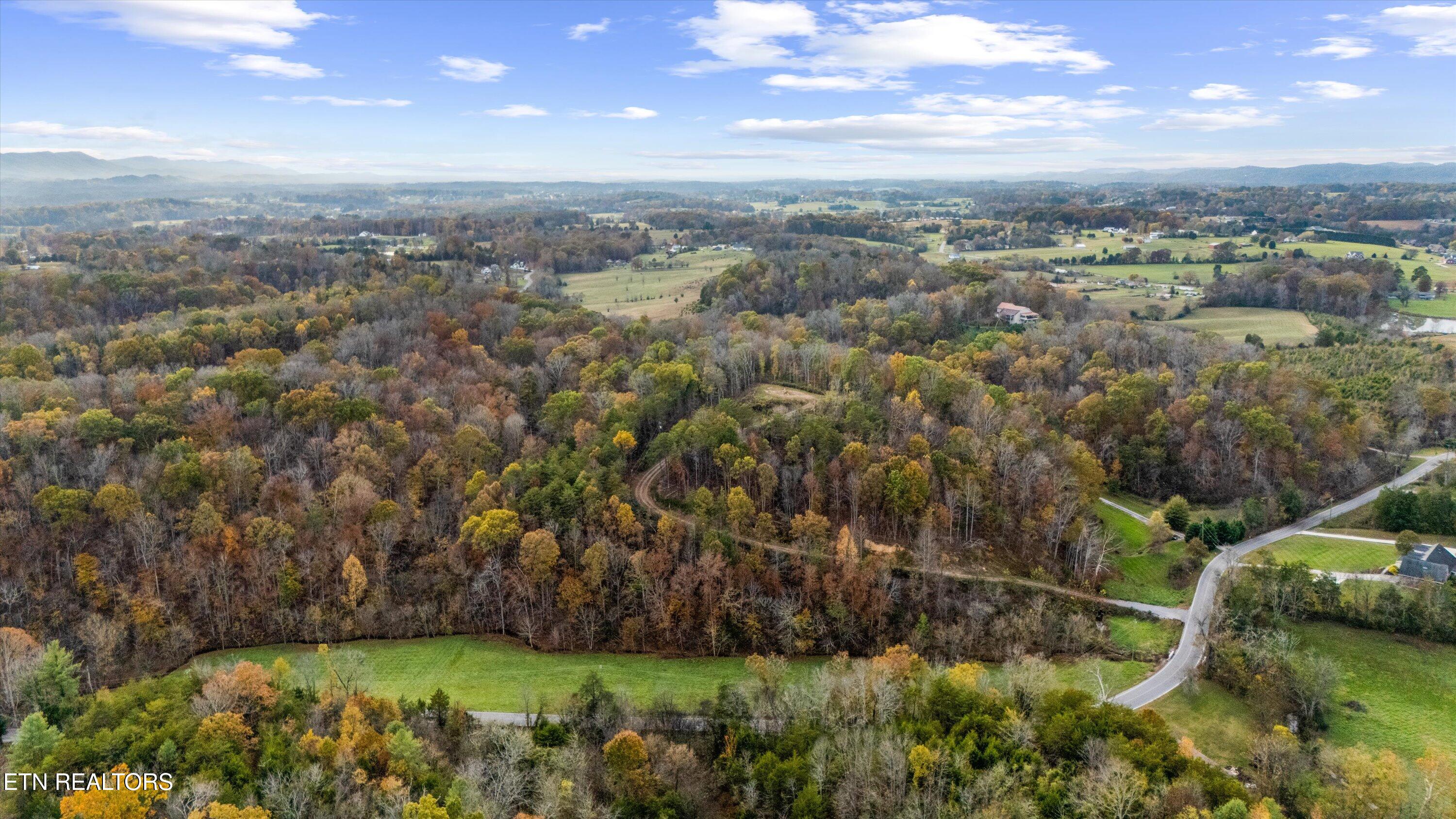 703 North Knob Creek Road Seymour, TN 37865 - Photo 6 of 18 45-703 N Knob Creek Rd16