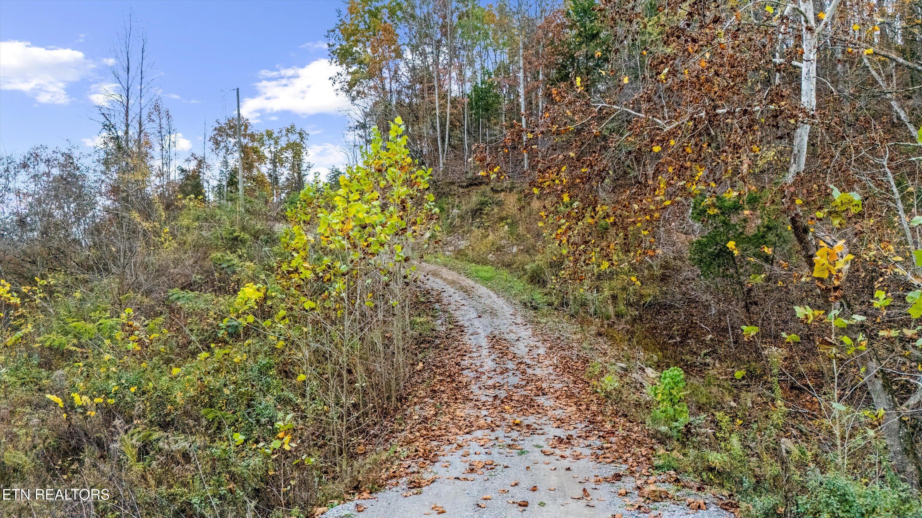 703 North Knob Creek Road Seymour, TN 37865 - Photo 8 of 18 44-703 N Knob Creek Rd15