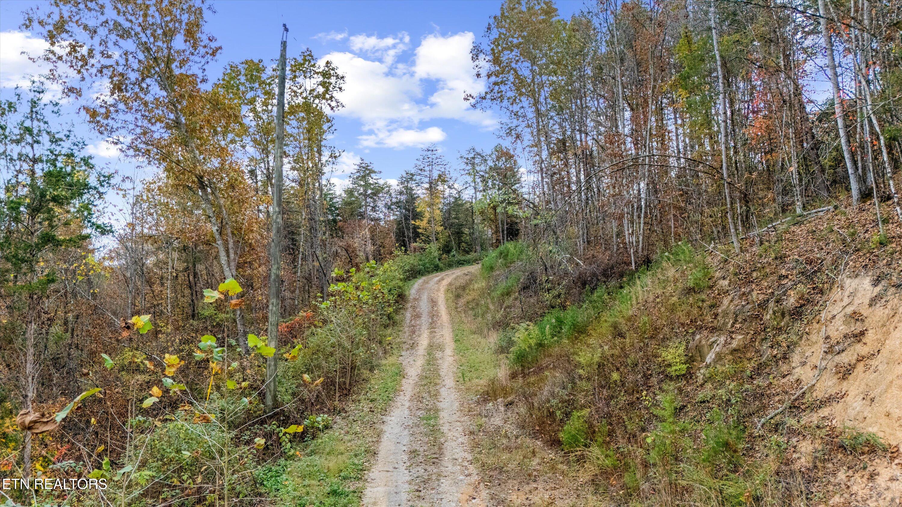 703 North Knob Creek Road Seymour, TN 37865 - Photo 9 of 18 42-703 N Knob Creek Rd13