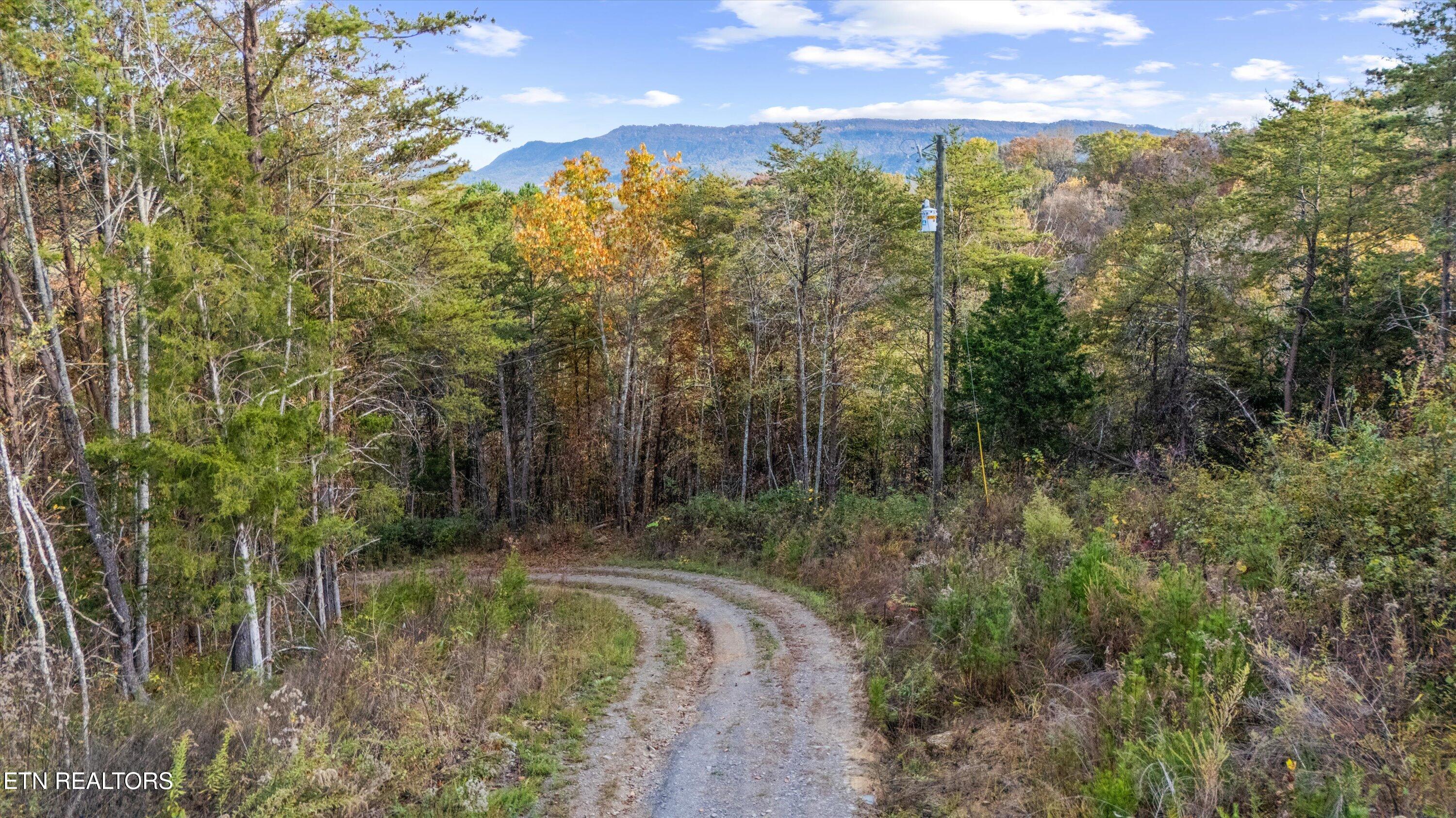 703 North Knob Creek Road Seymour, TN 37865 - Photo 10 of 18 48-703 N Knob Creek Rd19