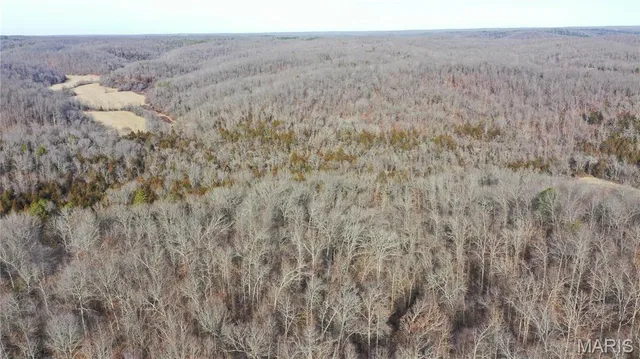 $367,900 | 0 Tbd Cr, Jadwin, MO 65501