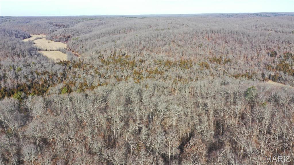 0 Tbd Cr Jadwin, MO 65501 - Photo 4 of 24