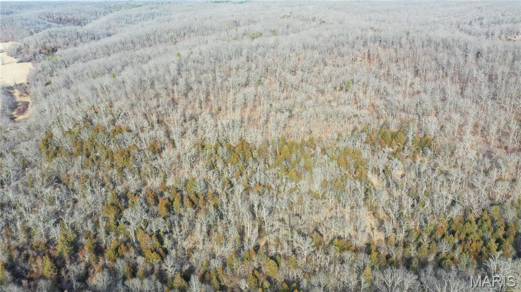 0 Tbd Cr Jadwin, MO 65501 - Photo 5 of 24