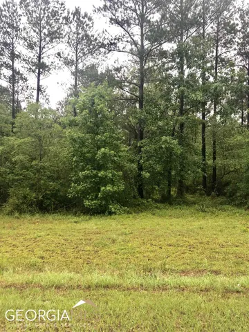 $27,098 | 0 Muskogee Trail, Unit LOT 78, Dublin, GA 31021