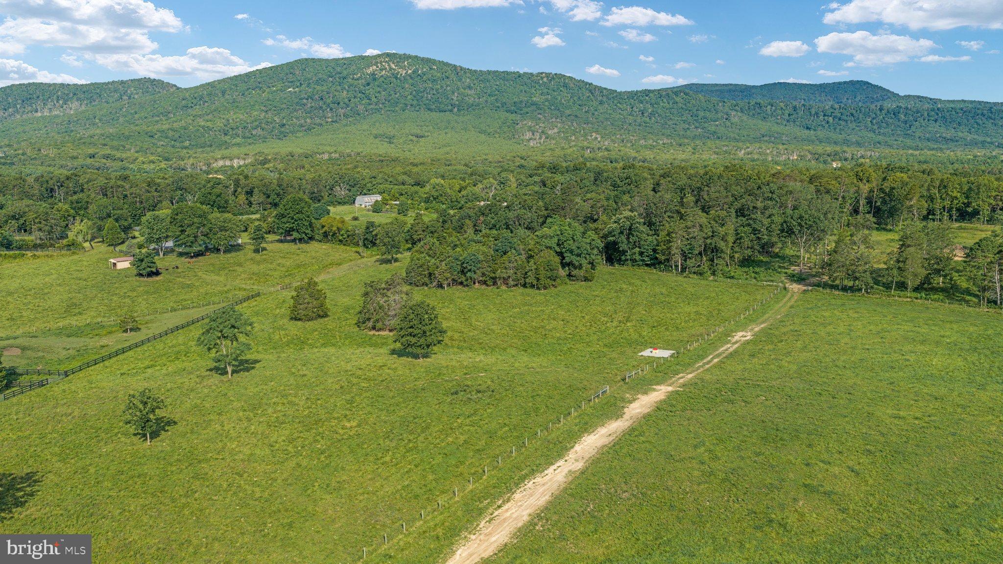 359 Ridgeway Road Front Royal, VA 22630 - Photo 101 of 136 DJI_20260804091158_0056_D_ 359 Ridgeway Rd - Absol