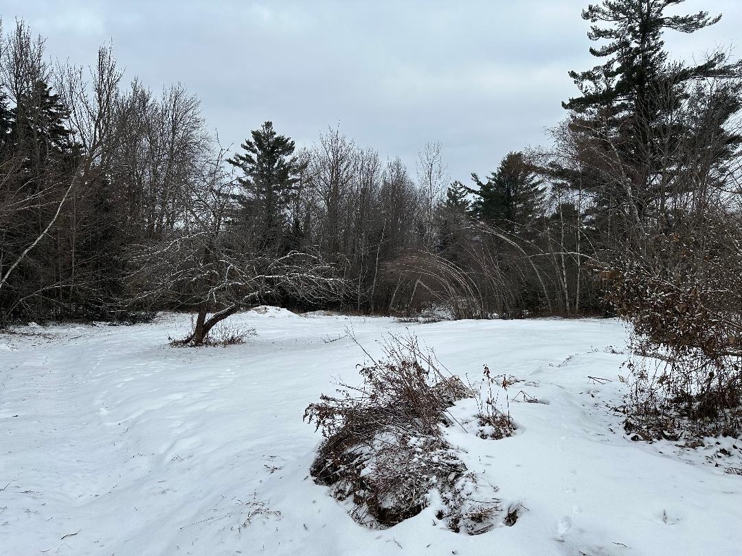 164 Tallman Road Elmore, VT 05680 - Photo 24 of 39