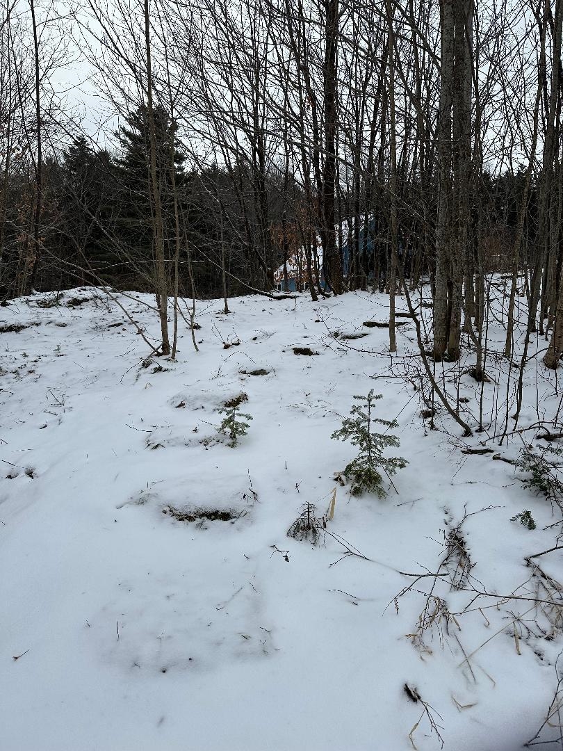 164 Tallman Road Elmore, VT 05680 - Photo 35 of 39