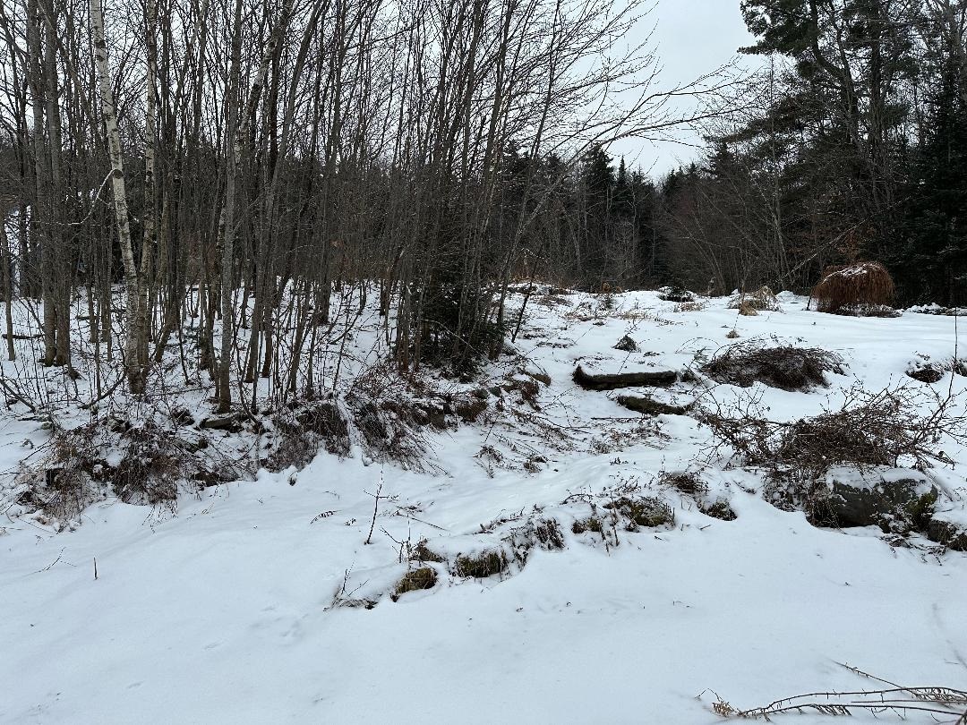 164 Tallman Road Elmore, VT 05680 - Photo 36 of 39