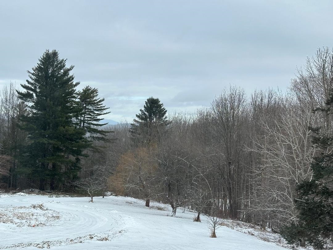 164 Tallman Road Elmore, VT 05680 - Photo 38 of 39