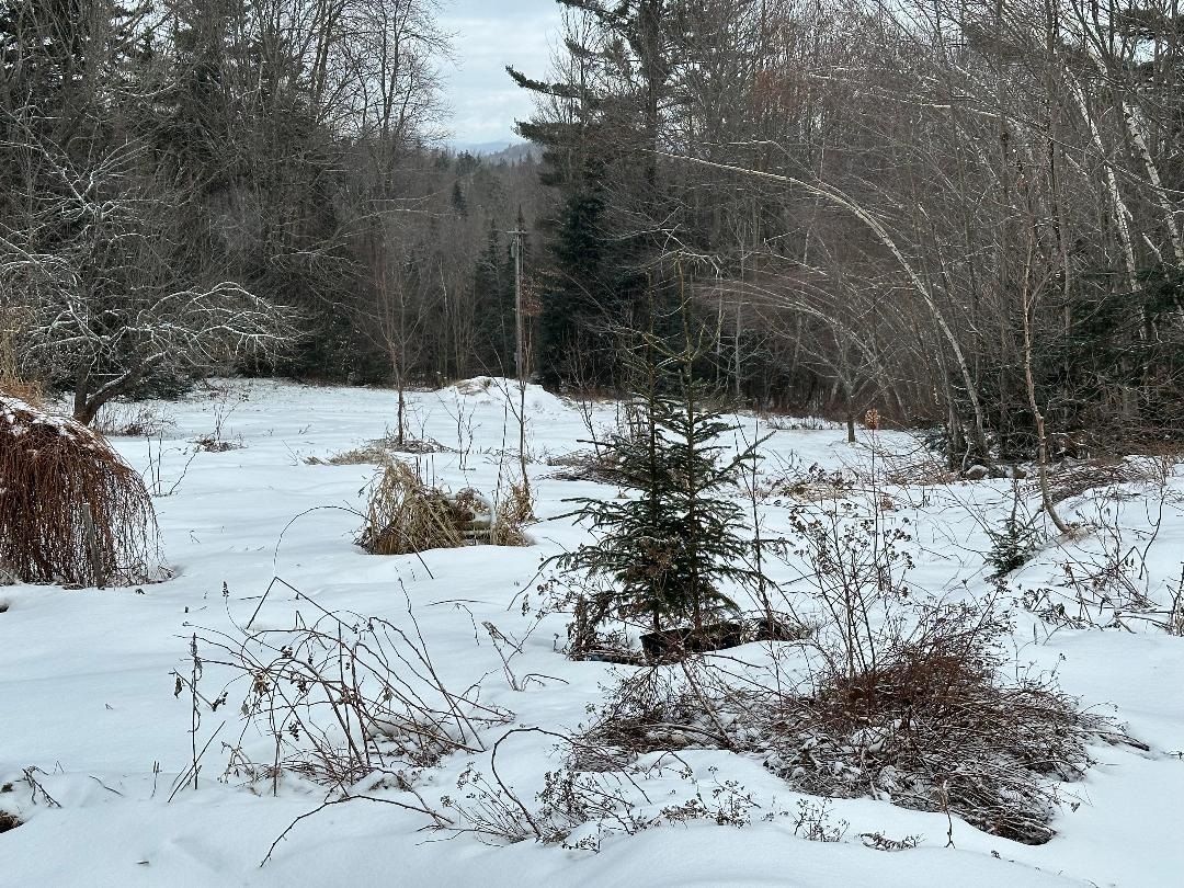 164 Tallman Road Elmore, VT 05680 - Photo 39 of 39