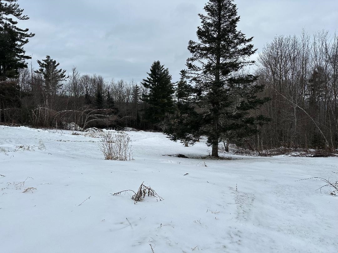 164 Tallman Road Elmore, VT 05680 - Photo 5 of 39