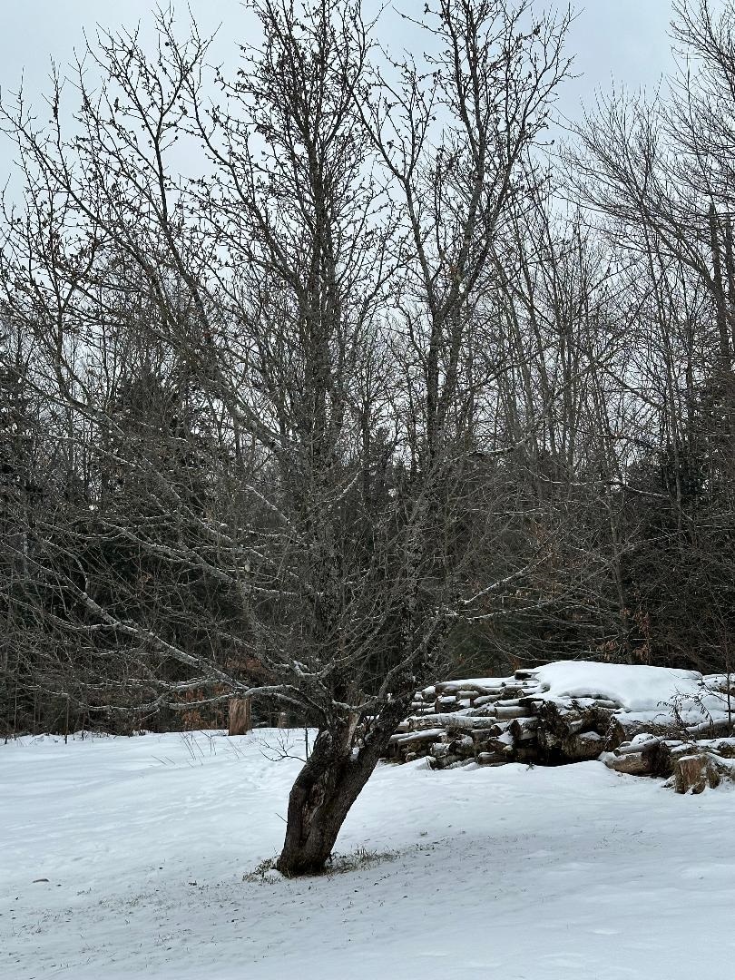 164 Tallman Road Elmore, VT 05680 - Photo 6 of 39
