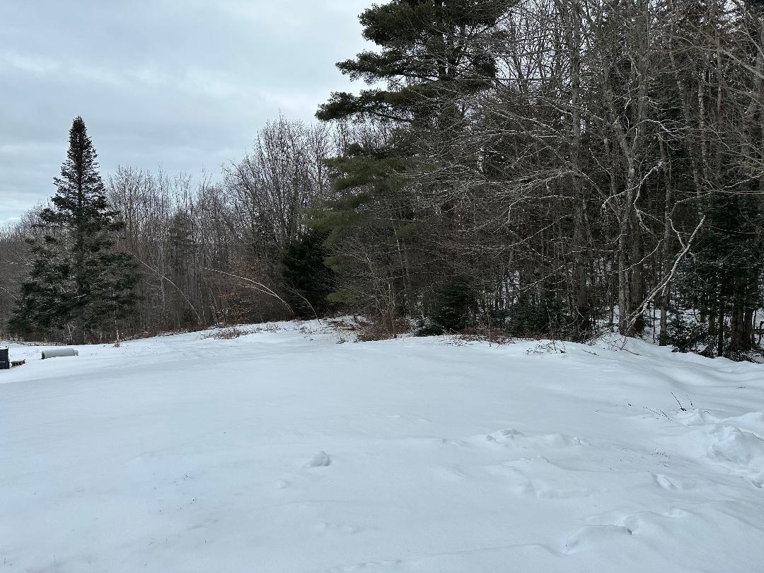 164 Tallman Road Elmore, VT 05680 - Photo 7 of 39