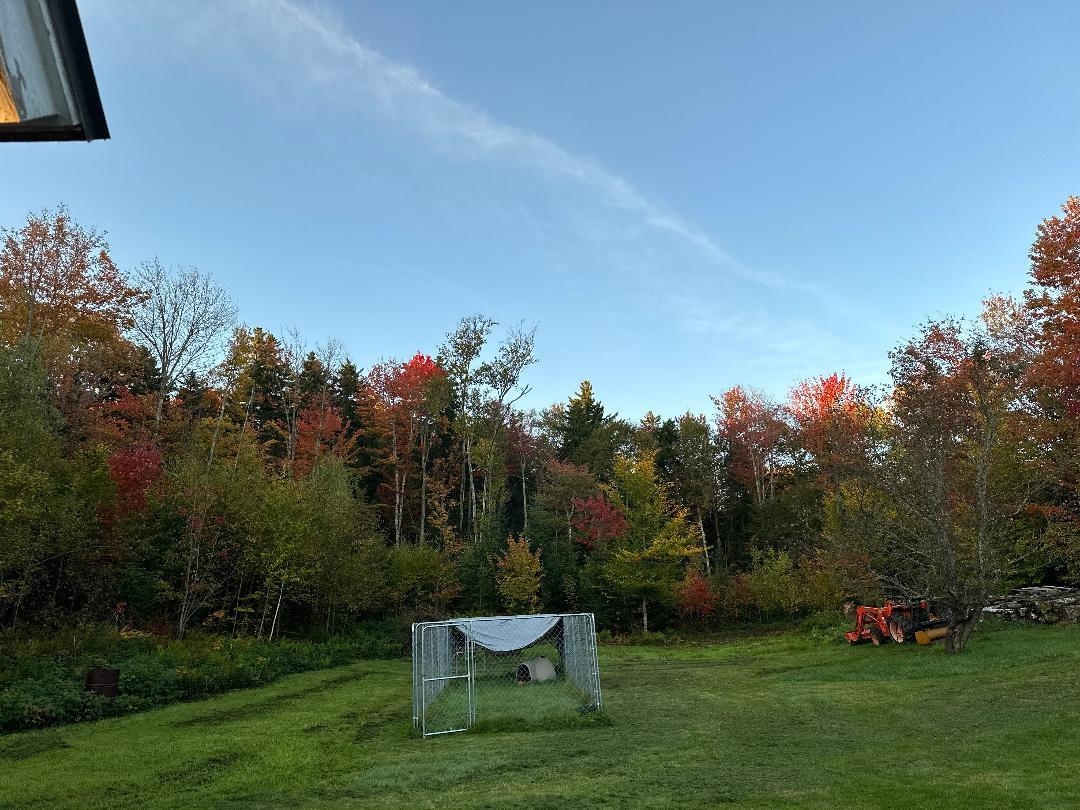 164 Tallman Road Elmore, VT 05680 - Photo 10 of 39