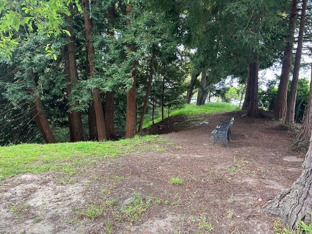 3757 Vienna Drive Aptos, CA 95003 - Photo 14 of 15 a backyard of a house with lots of green space