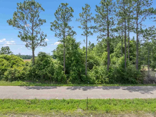 $59,000 | Lot 54 Mineral Springs Road, Jay, FL 32565