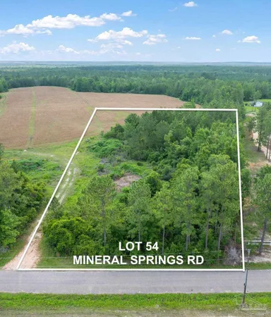 $59,000 | Lot 54 Mineral Springs Road, Jay, FL 32565