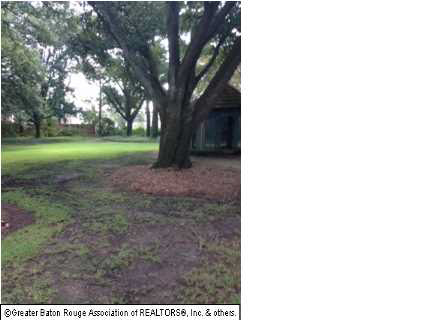 7655 Rienzi Boulevard Baton Rouge, LA 70809 - Photo 3 of 3 Gallery Image 3