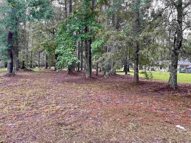 $70,000 | 31387 River Pines Drive, Springfield, LA 70462