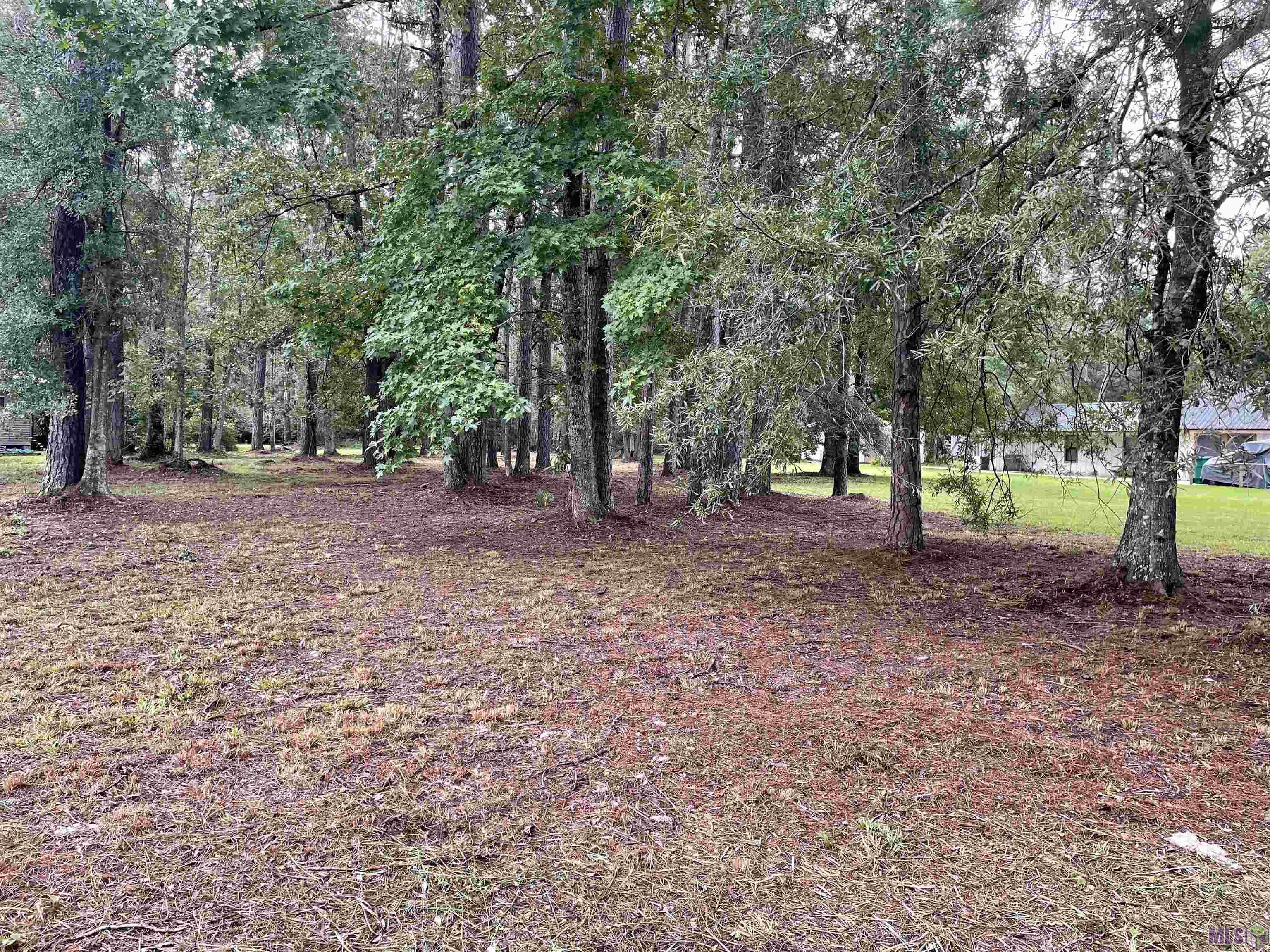 31387 River Pines Drive Springfield, LA 70462 - Photo 1 of 2