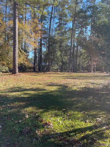 $70,000 | 31387 River Pines Drive, Springfield, LA 70462