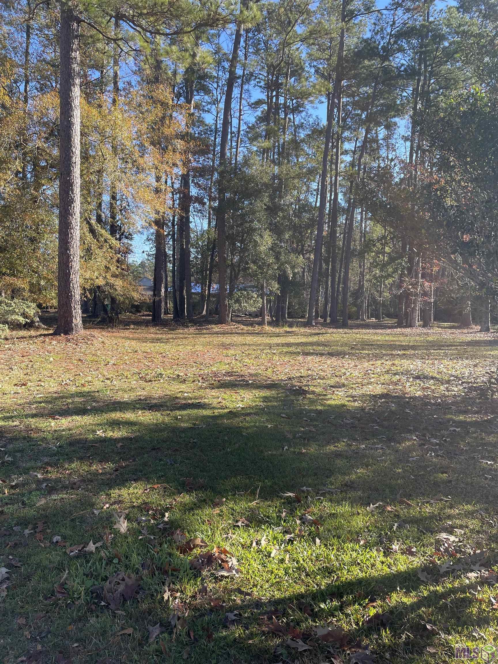 31387 River Pines Drive Springfield, LA 70462 - Photo 2 of 2