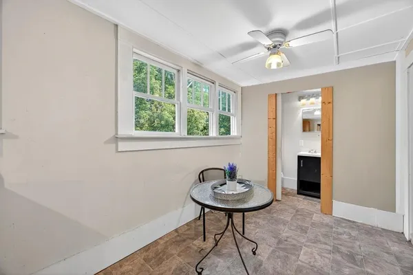 a view of a forest with trees in the background