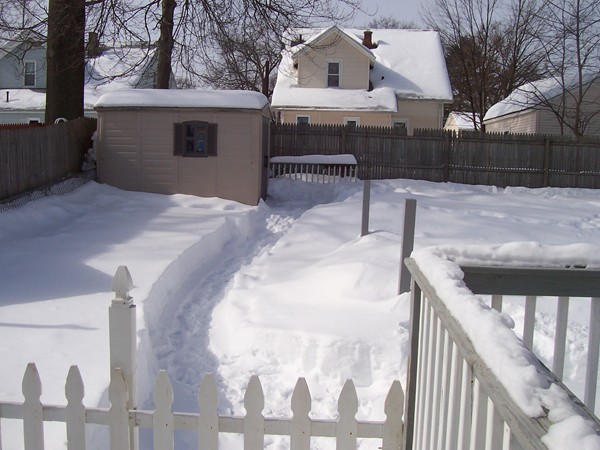 64 Fresno Street Springfield, MA 01104 - Photo 5 of 15