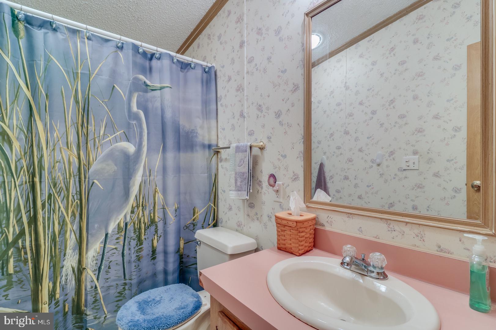 24782 Pinetown Road Denton, MD 21629 - Photo 25 of 35 Hall Bathroom