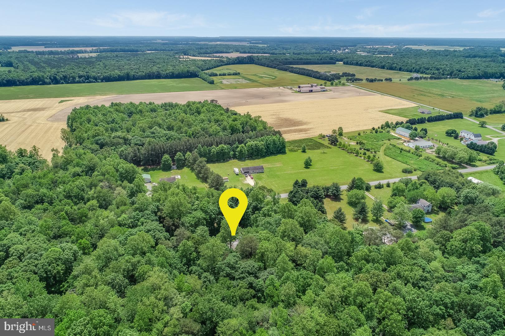 24782 Pinetown Road Denton, MD 21629 - Photo 5 of 35 Surrounded by Nature & Privacy