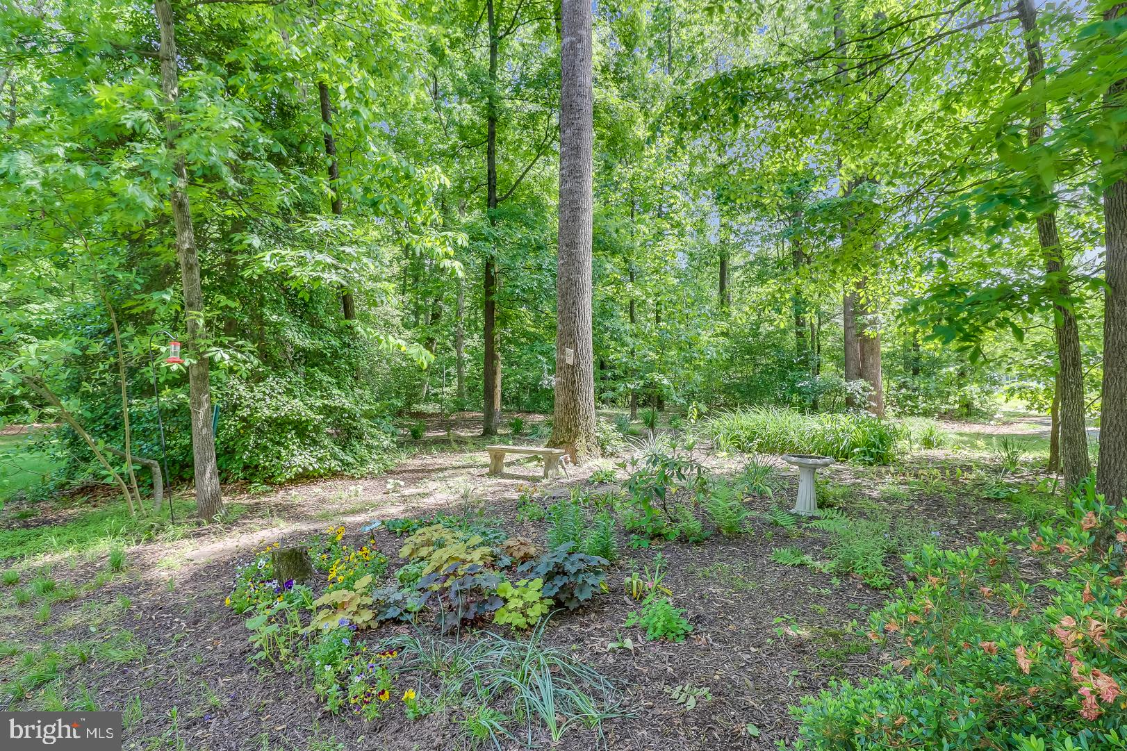 24782 Pinetown Road Denton, MD 21629 - Photo 7 of 35 Lovely landscaping