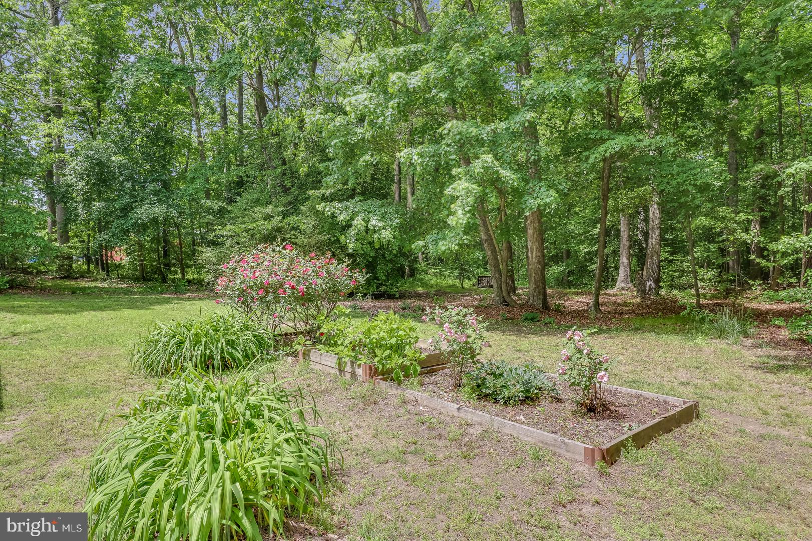 24782 Pinetown Road Denton, MD 21629 - Photo 8 of 35 Beautiful landscaping around the Home
