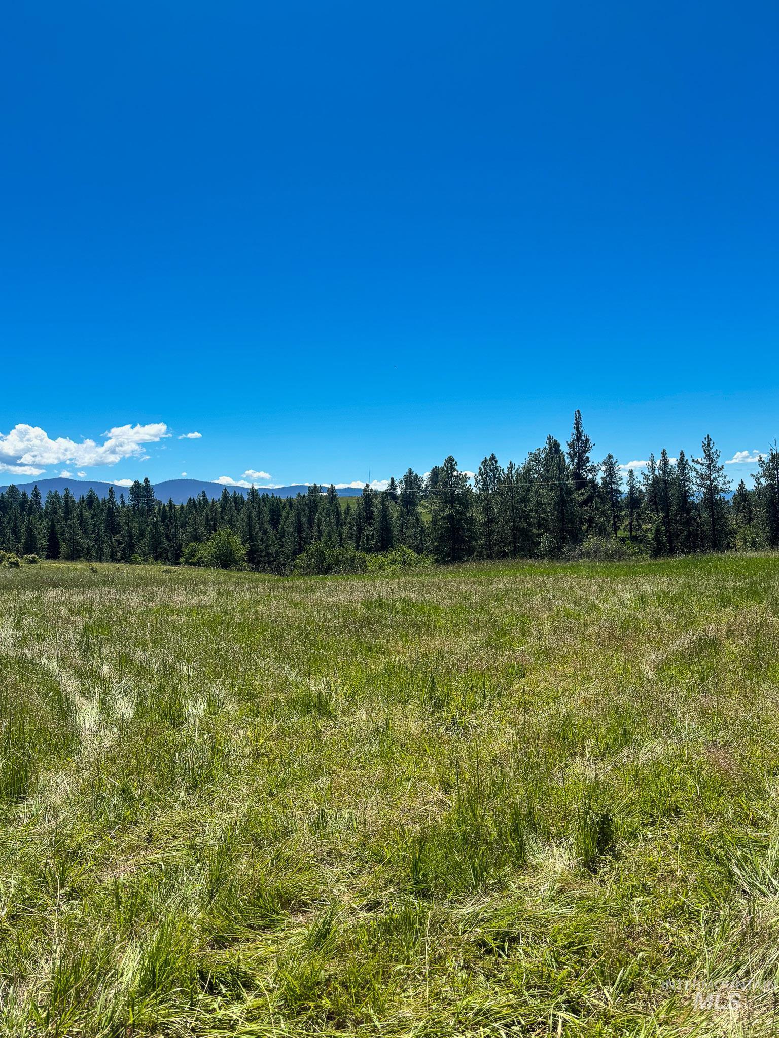 180 Williams Road Kooskia, ID 83539 - Photo 6 of 10