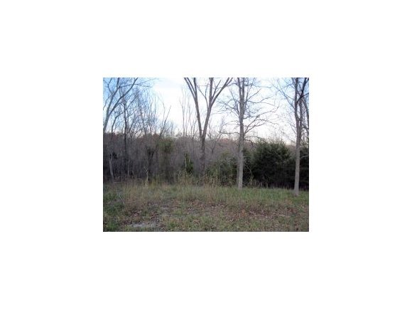 Lot 36 Jones Cove Rd Branson Road Reeds Spring, MO 65737 - Photo 1 of 1 Primary Photo