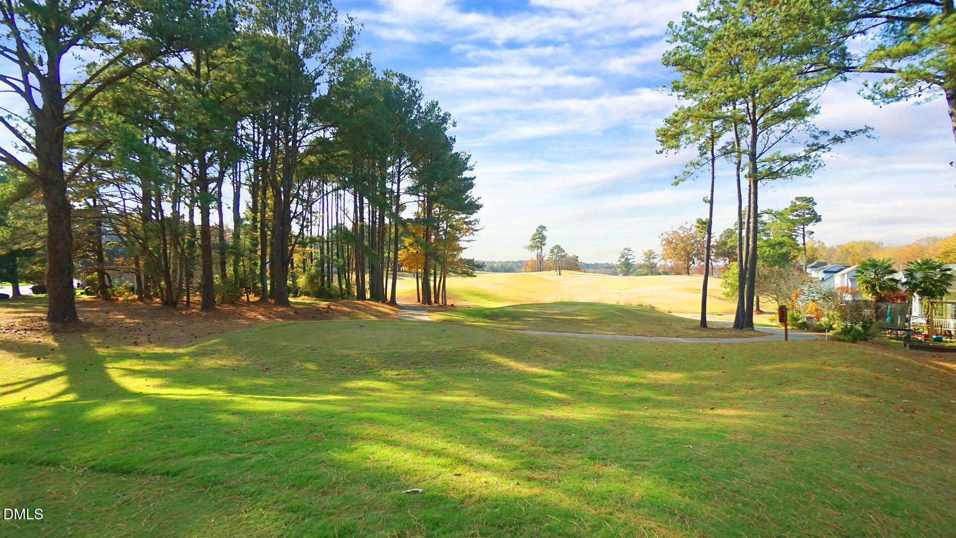 311 Inkster Cove Raleigh, NC 27603 - Photo 39 of 39 DSC09407