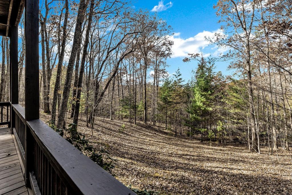 116 Channing Ridge Road Morganton, GA 30560 - Photo 46 of 62